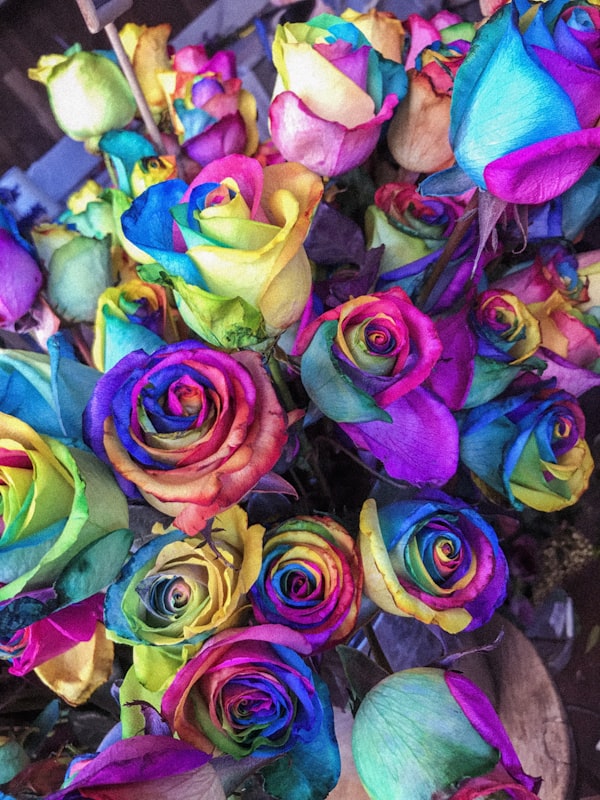 Sunday Roses