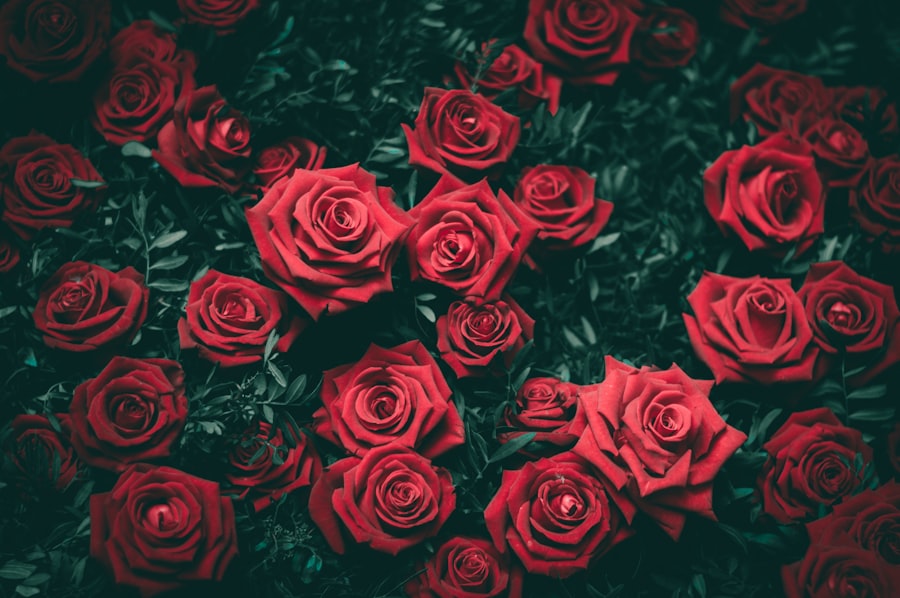 Hand-tied bouquet